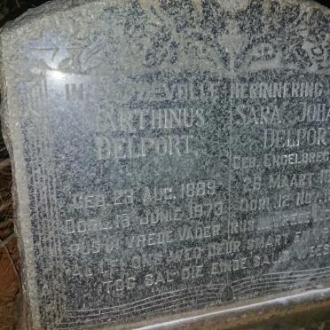 DELPORT Marthinus 1889-1973 & Sara Johanna 1898-1962