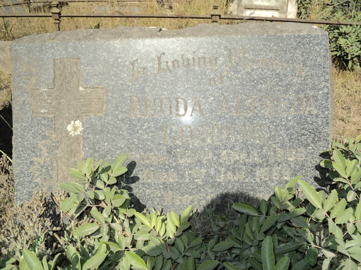? Rhoda A?