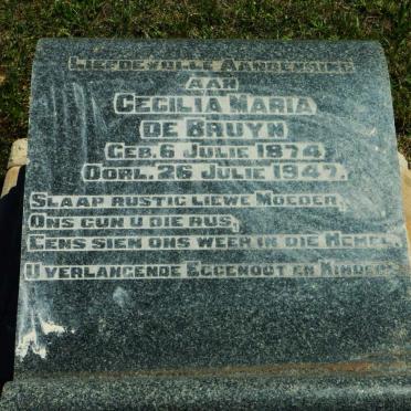 Kwazulu-Natal, CEDARVILLE, Main cemetery