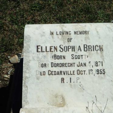 BRICK William Edmund 1859-1940 &amp; Ellen Sophia SCOTT 1871-1955