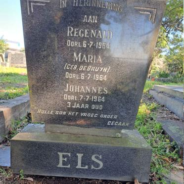 ELS Regenald -1964 :: ELS Maria nee DE BRUYN -1964 :: ELS Johannes -1964