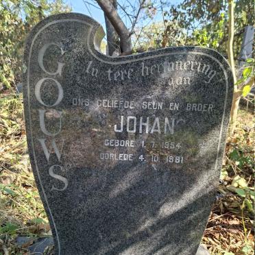 GOUWS Johan 1954-1981