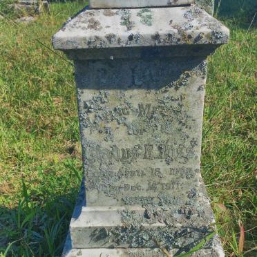 ROSS Gladys B. 1895-1911