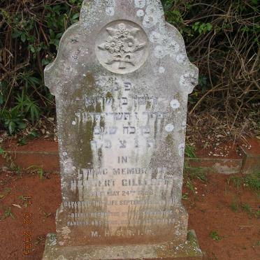 GILLESPIE Herbert 1886-1914