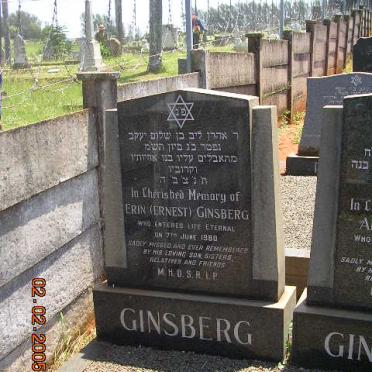 GINSBERG Erin -1980