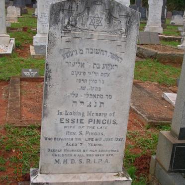 PINCUS Nessie -1927
