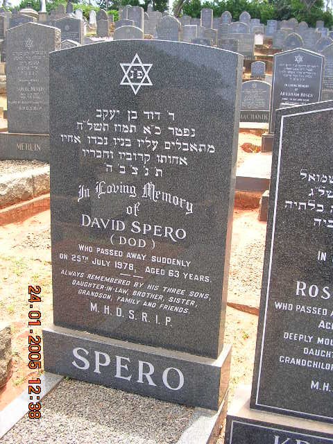 SPERO David -1978