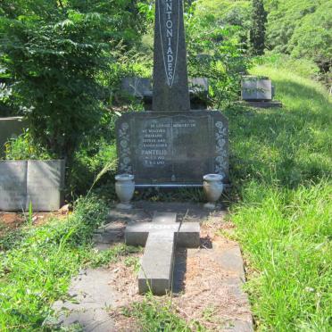 ANTONIADES Tony 1909-1970 ::  ANTONIADES Pantellis 1913-1993