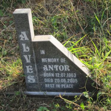ALVES Antor 1963-2005