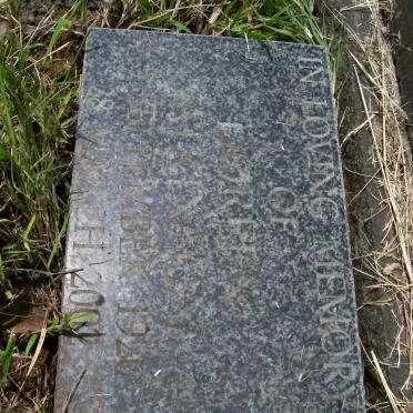ATKINSON Doreen 1920-2002