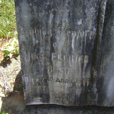 BUSH Hugh Ellimer -1946