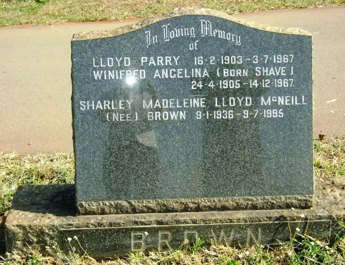 BROWN :: SHAVE :: MCNEILL