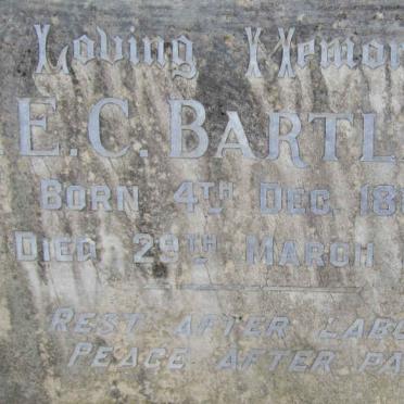 BARTLETT A.E.C. 1864-1931 :: BARTLETT Theodore Albert Edward 1905-1986