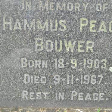 BOUWER Hammus Peach 1903-1967