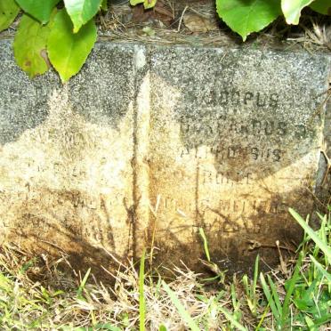BOYLE Alphonsus
