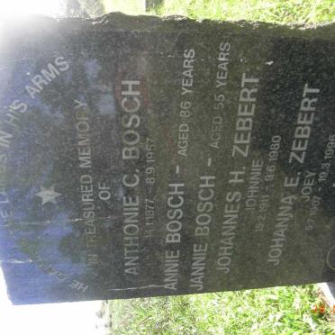 BOSCH :: ZEBERT