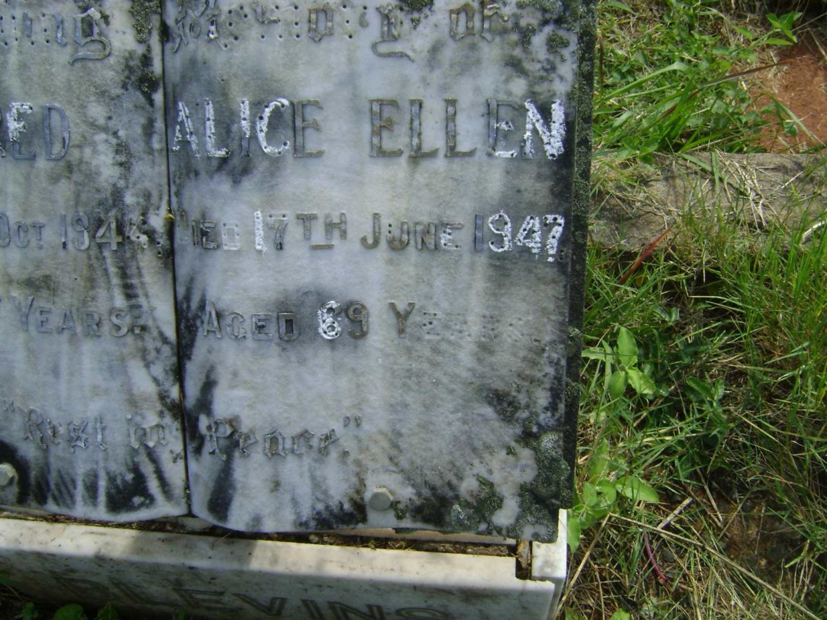 BLEVINS Alice Ellen - 1947