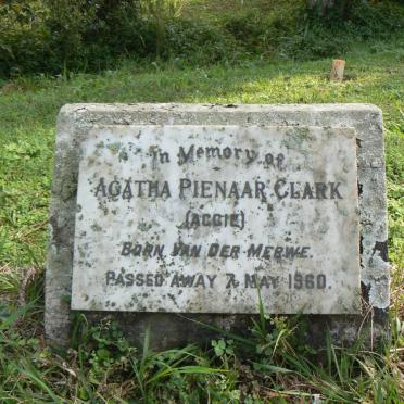 CLARK Agatha Pienaar nee VAN DER MERWE -1960