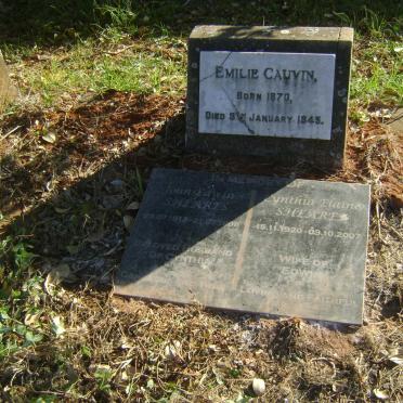 CAUVIN Emilie 1870-1945 :: SHEARES John Edwin 1912-1998 &amp; Cynthia Elaine 1920-2007 