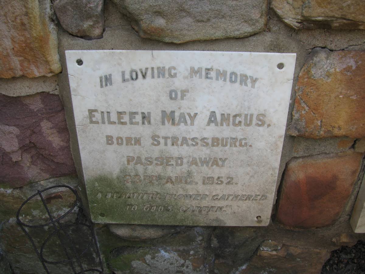 ANGUS Eileen May nee STRASSBURG -1952