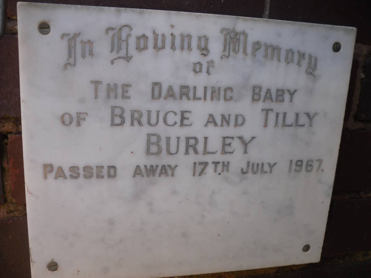 BURLEY Baby -1967