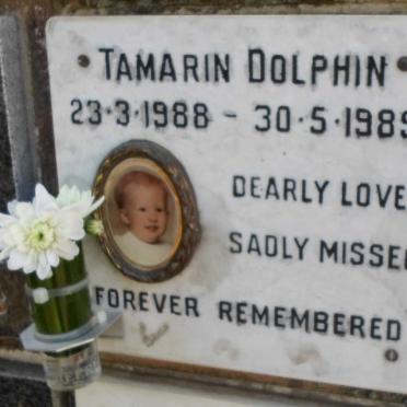 DOLPHIN Tamarin 1988-1989