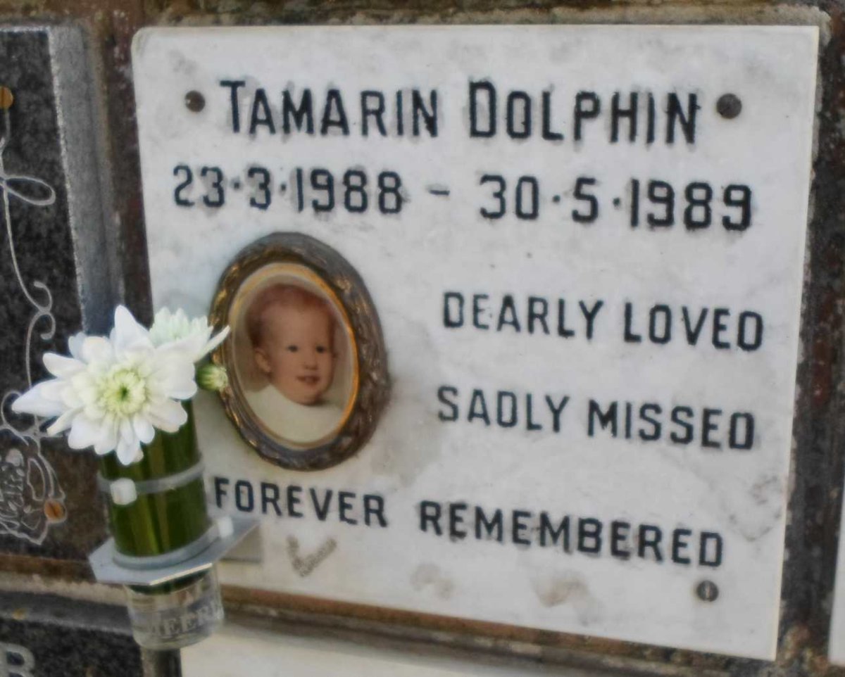 DOLPHIN Tamarin 1988-1989