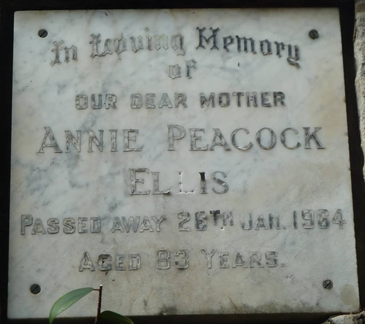 ELLIS Annie Peacock -1964