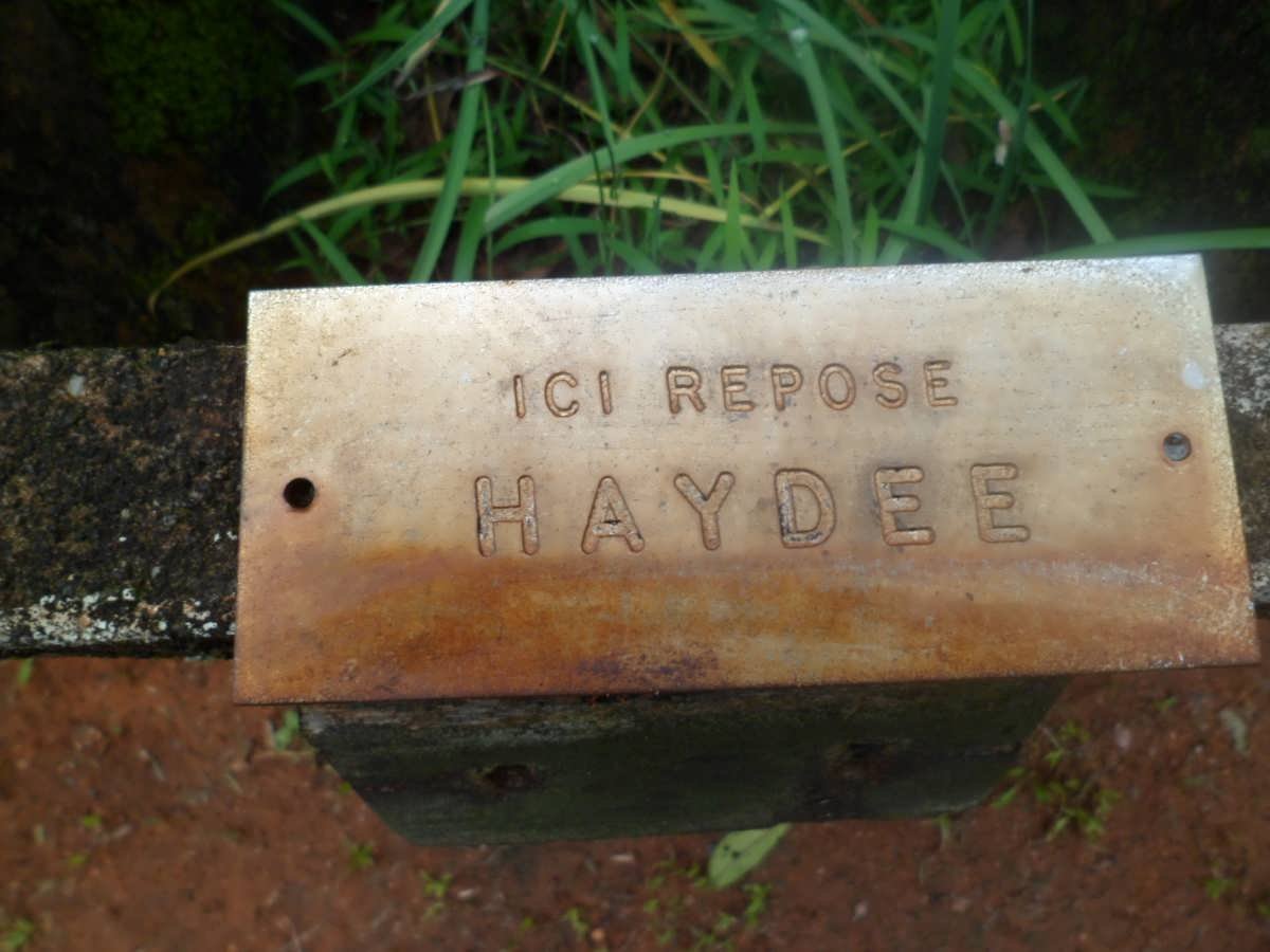HAYDEE 