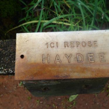 HAYDEE 
