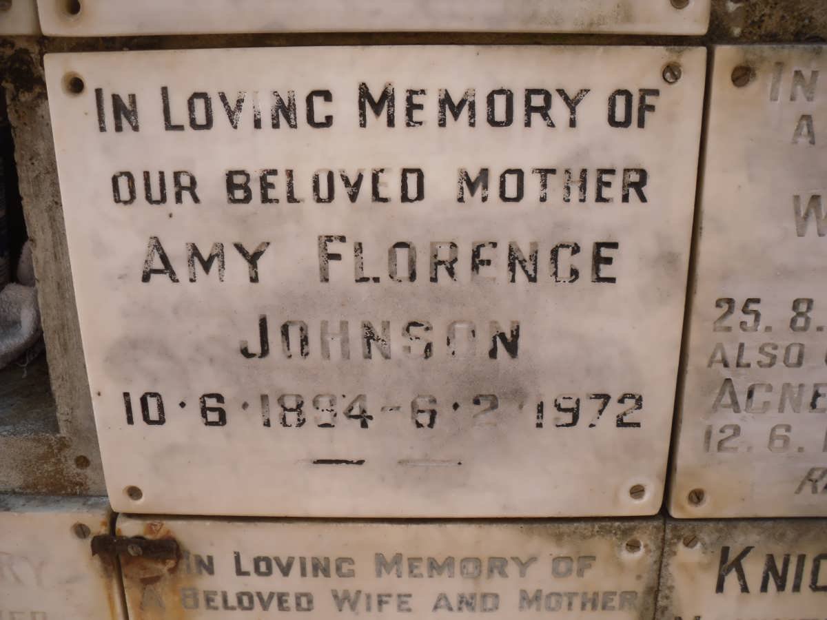 JOHNSON Amy Florence 1894-1972