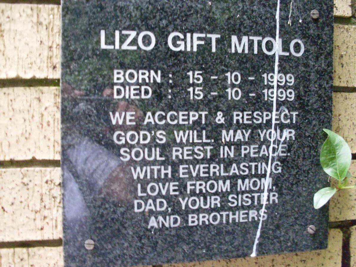 MTOLO Lizo Gift 1999-1999