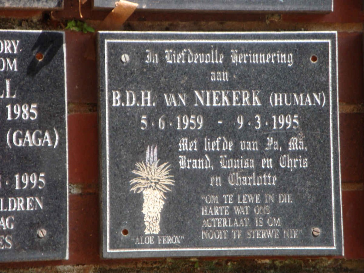NIEKERK B.D.H., van 1959-1995