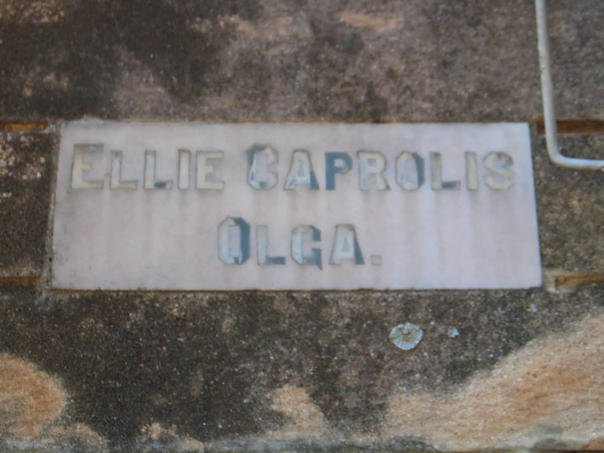 OLGA Ellie Caprolis