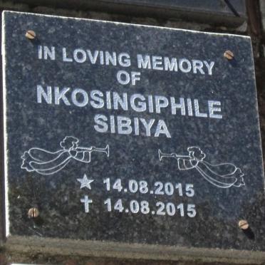 SIBIYA Nkosingiphile 2015-2015