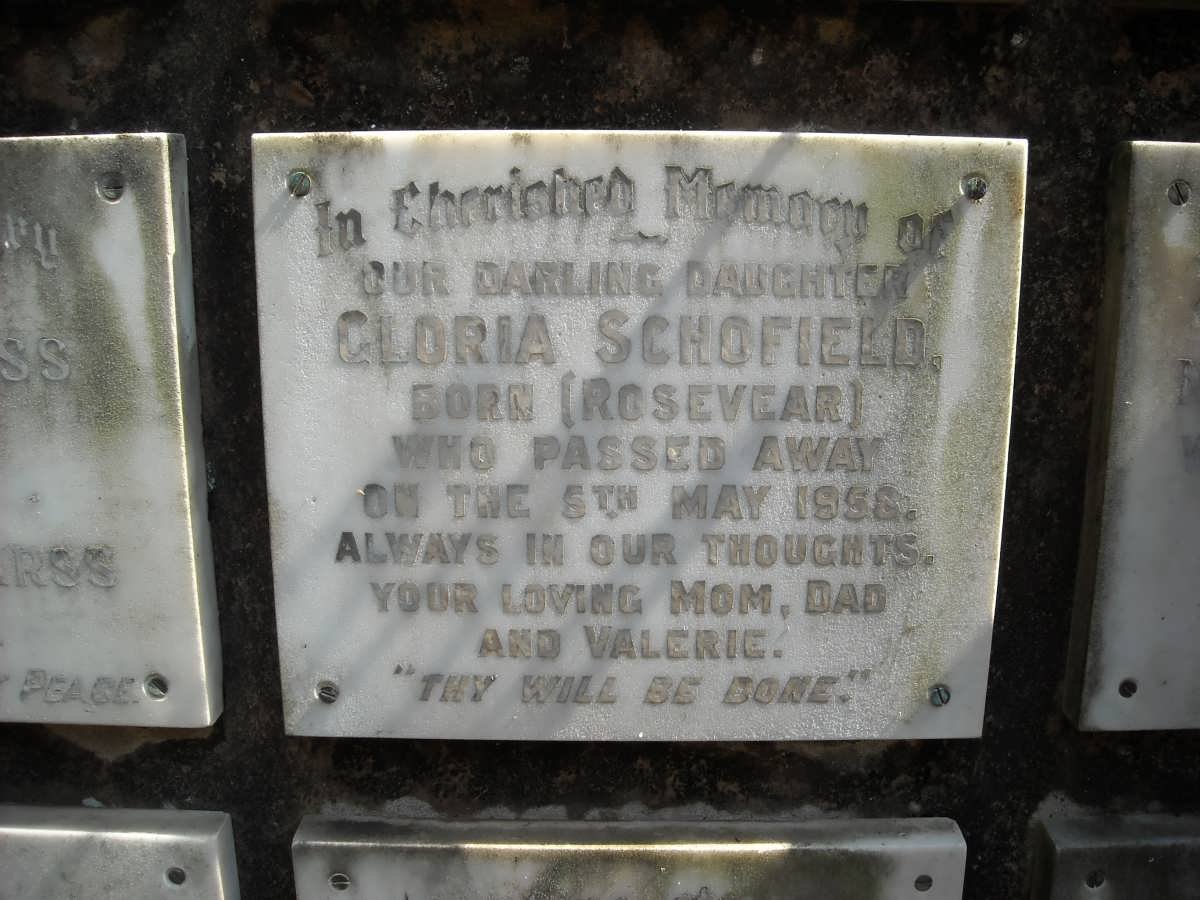 SCHOFIELD Gloria nee ROSEVEAR -1958