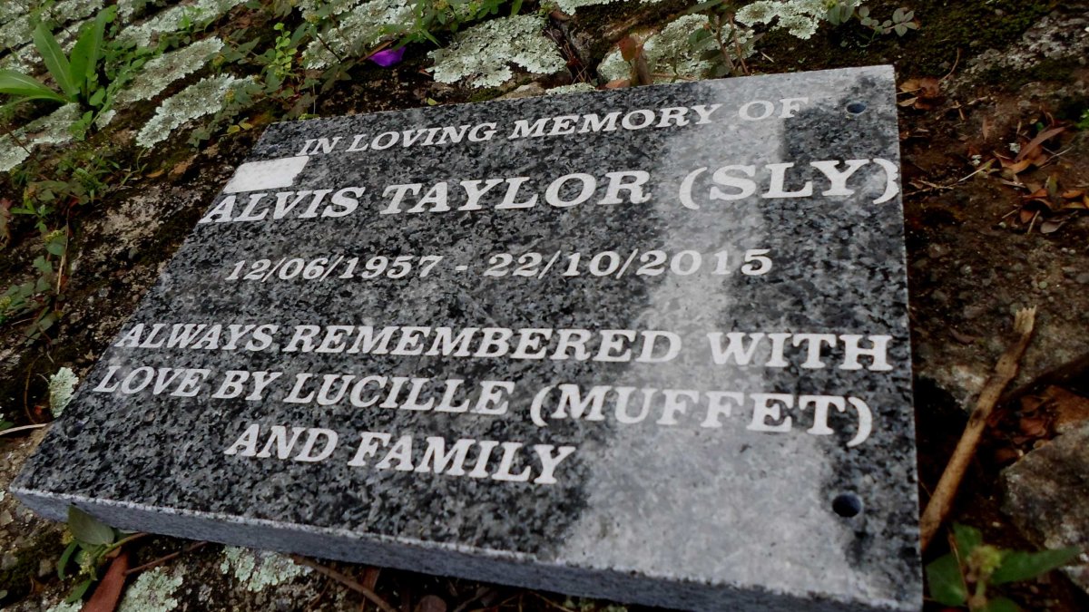 TAYLOR Alvis 1957-2015