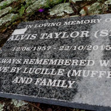 TAYLOR Alvis 1957-2015