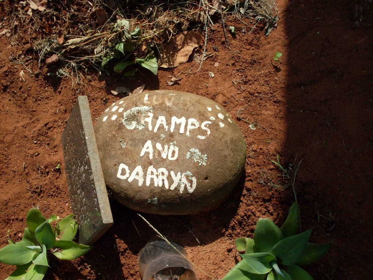 ? Gramps :: ? Darryn