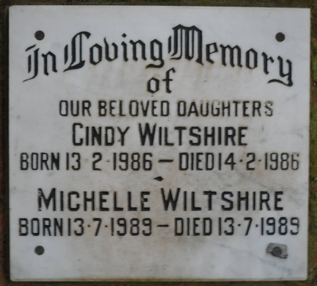 WILTSHIRE Cindy 1986-1986 :: WILTSHIRE Michelle 1989-1989