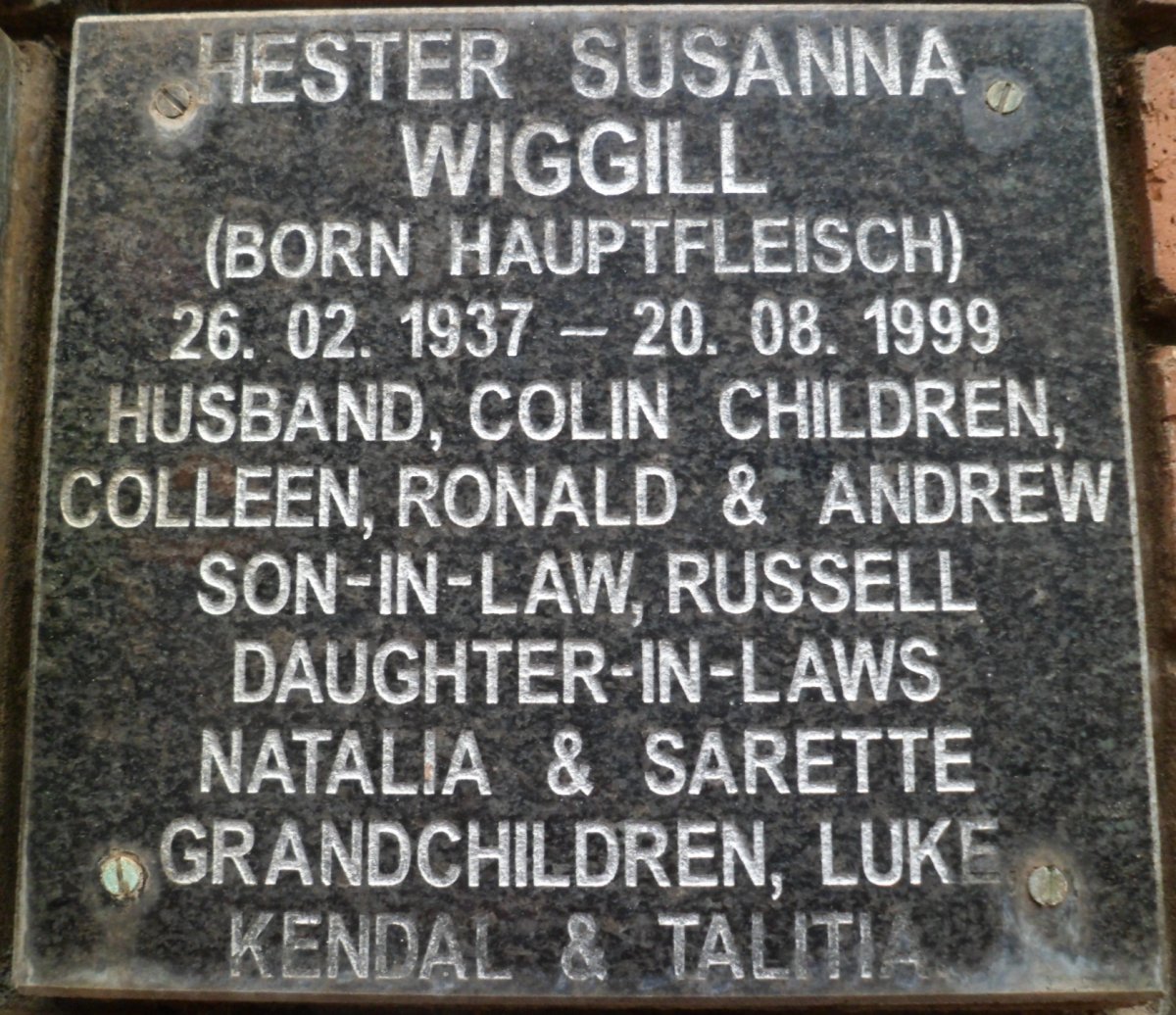 WIGGILL Hester Susanna nee HAUPTFLEISCH 1937-1999