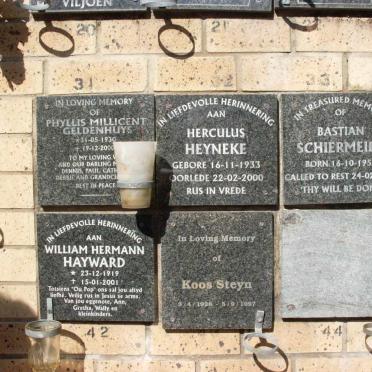 GELDENHUYS :: HAYWARD :: HEYNEKE :: SCHIERMEIER :: STEYN