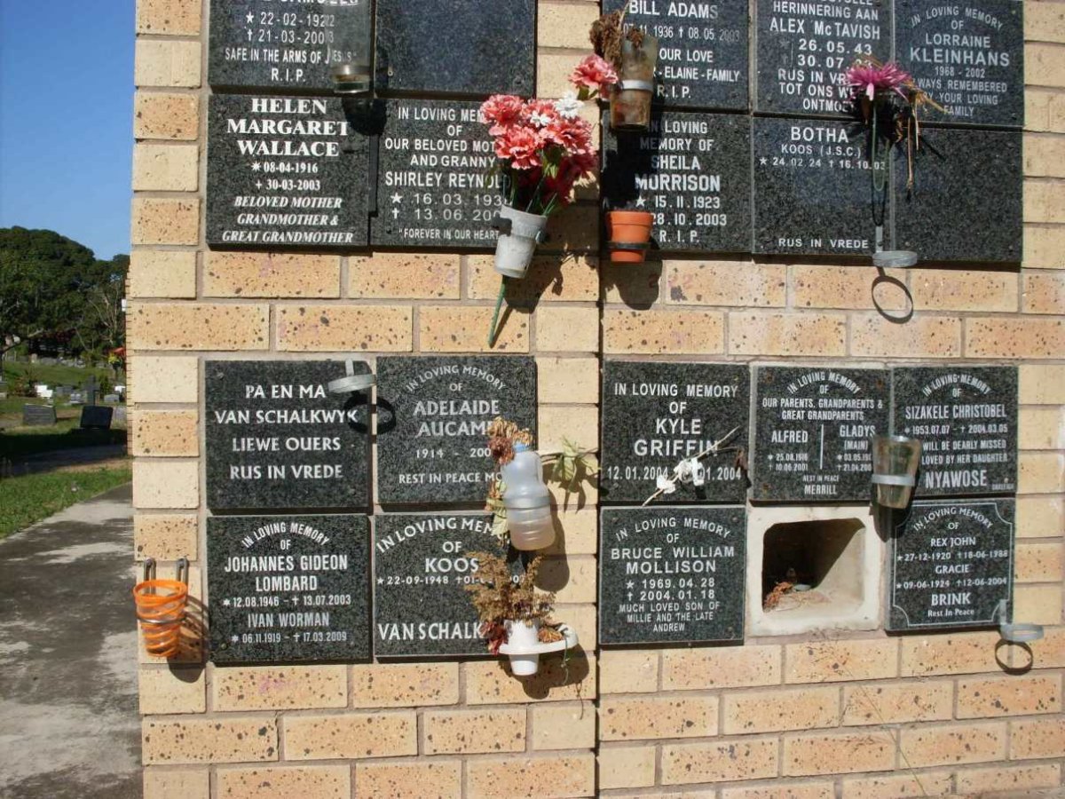 01. Plaque