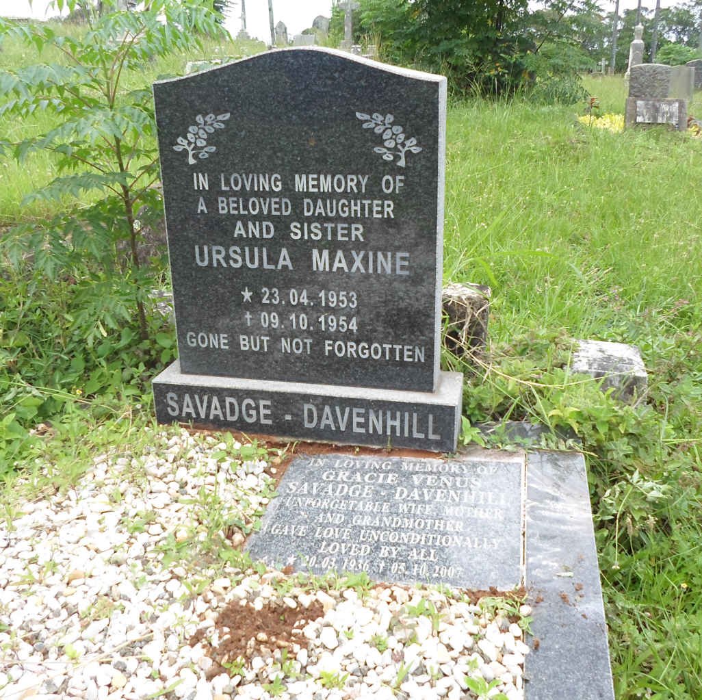 DAVENHILL Gracie Venus, SAVADGE 1936-2007 :: SAVADGE-DAVENHILL Ursula Maxine 1953-1954