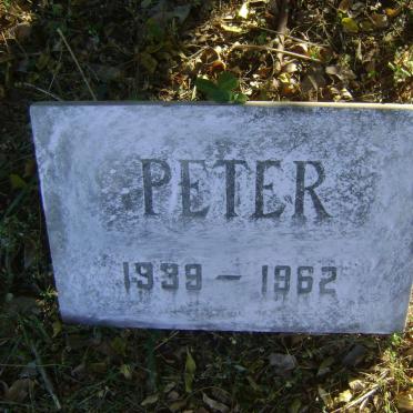 DAVIES Peter Hawker 1939-1962