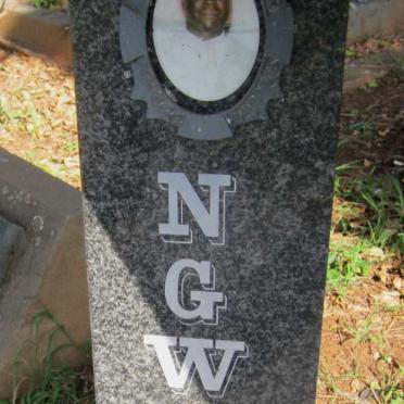 ERASMUS Mfanufikile Ngwane 1970-2013