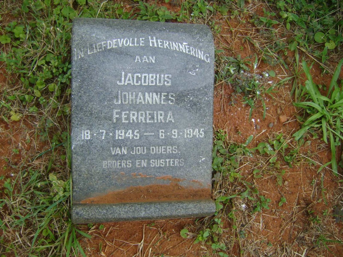 FERREIRA Jacobus Johannes 1945-1945