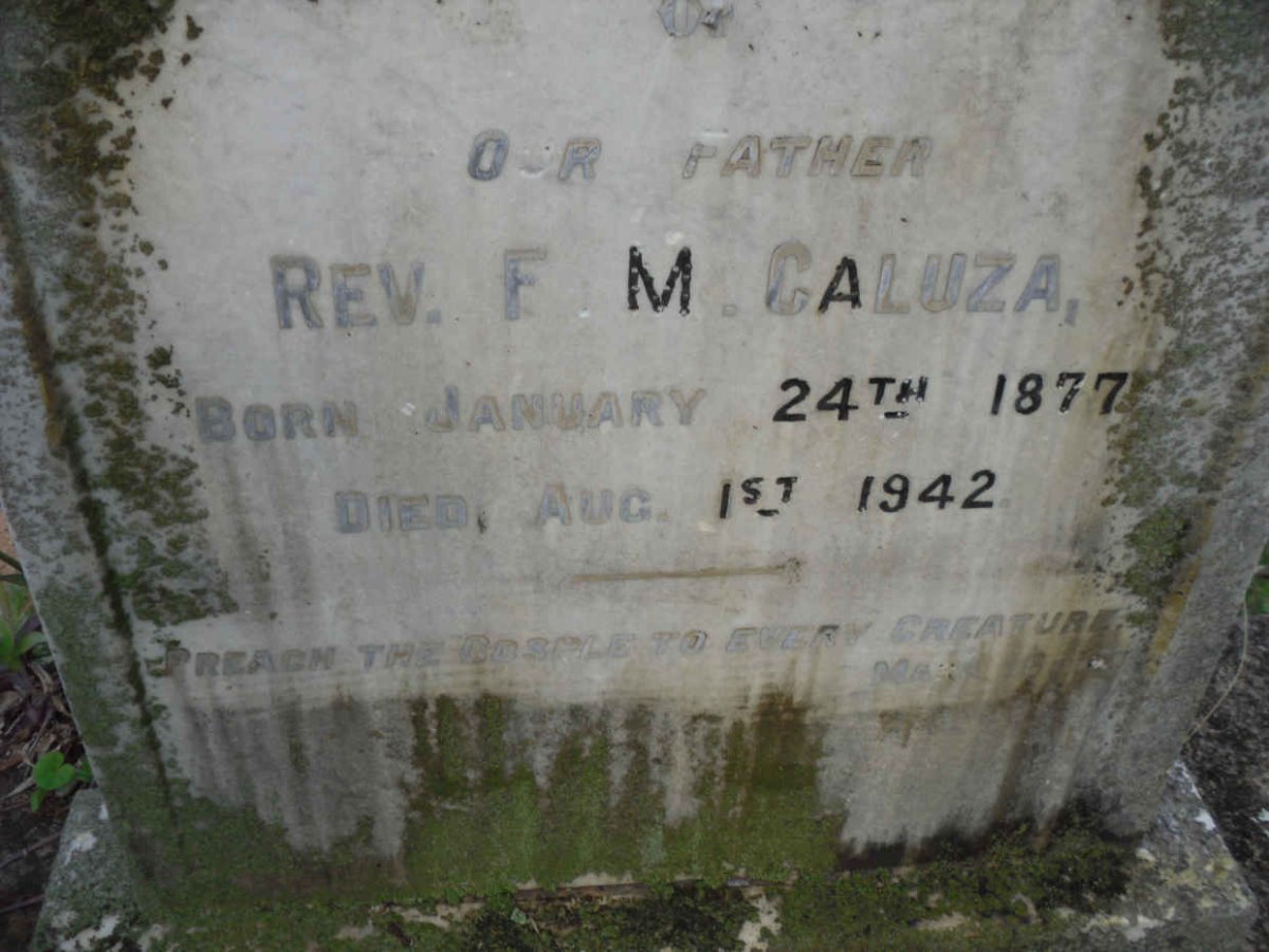 GALUZA F.M. 1877-1942