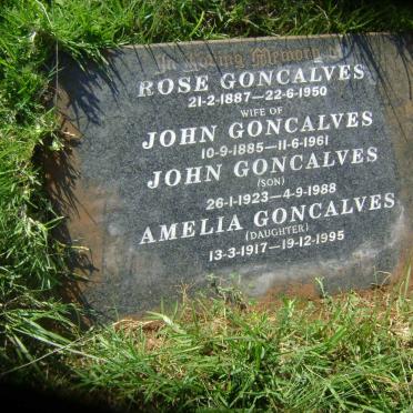 GONCALVES John 14885-1961 &amp; Rose 1887-1950 :: GONCALVES John 1923-1988 :: GONCALVES Amelia 1917-1995