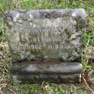 GOTTGENS Christopher J. 1962-1962